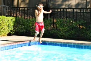 Photo: Diving In!