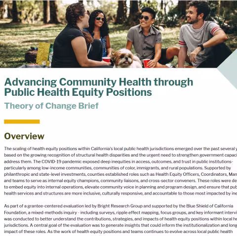 Theory of change brief