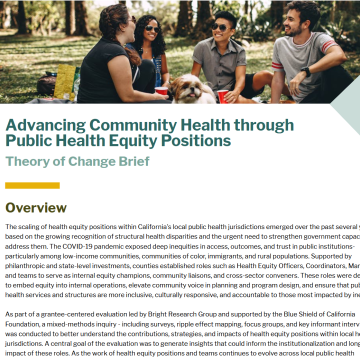 Theory of change brief